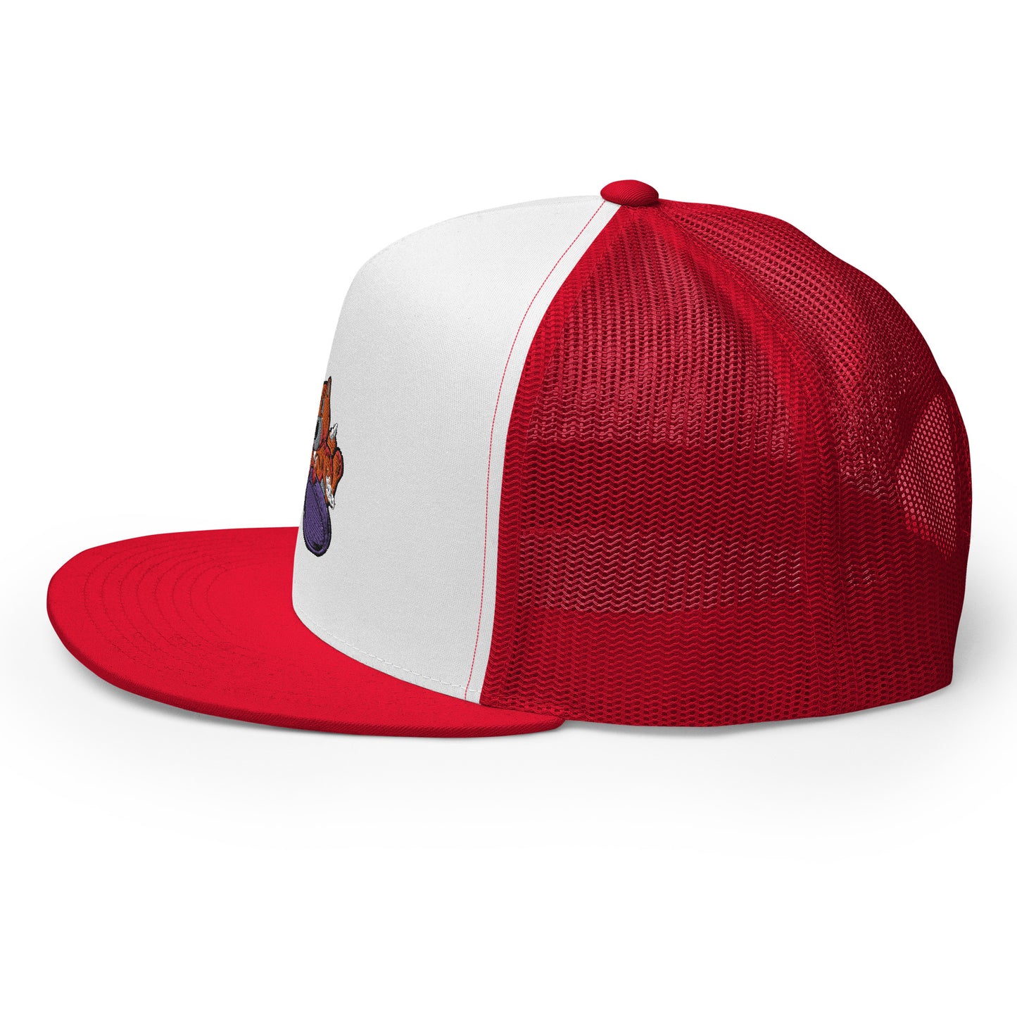 Snap Back Donnie